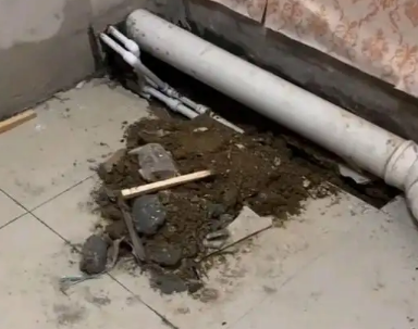 广宗卫生间漏水检测哪家好